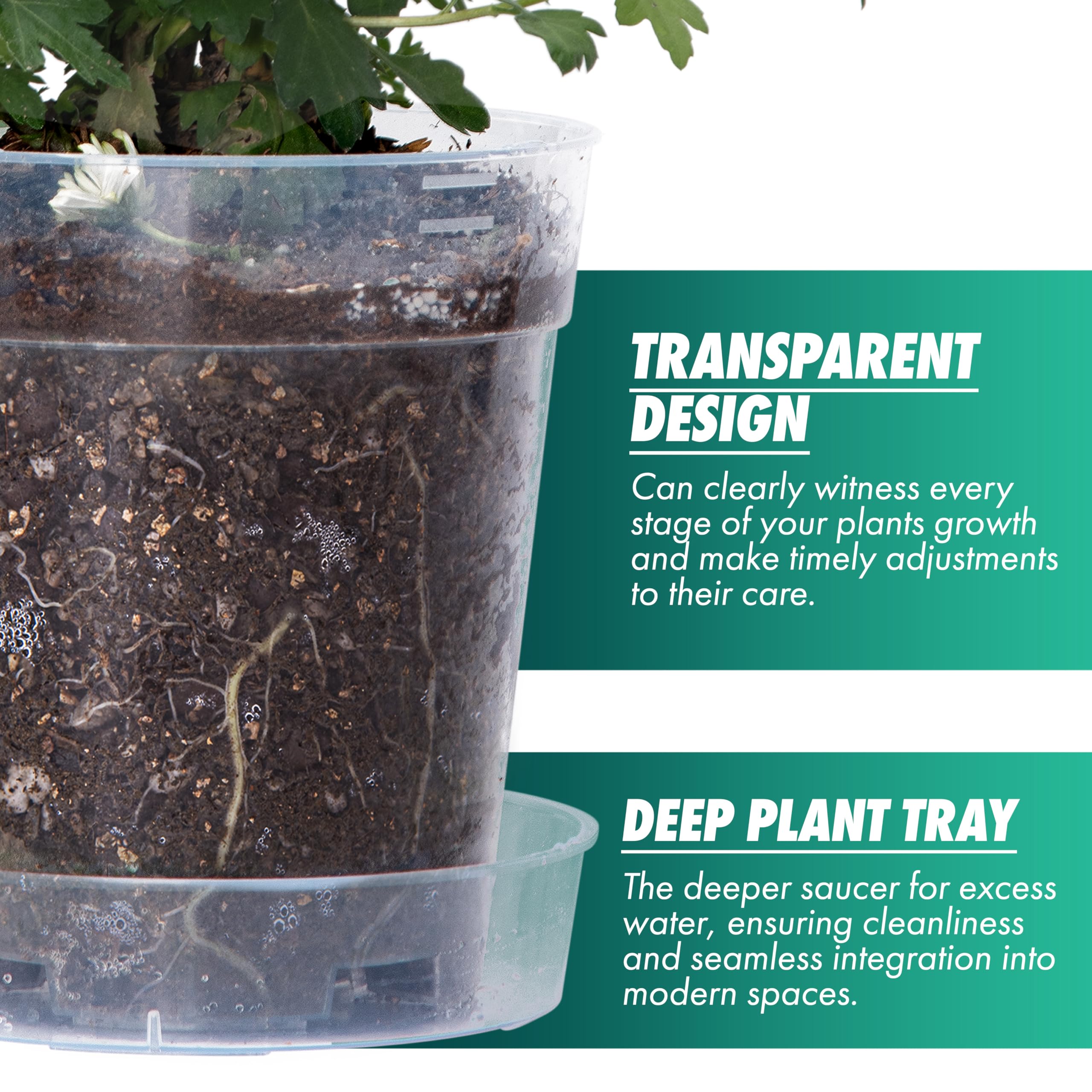 Phoenix Vine raised base detail improving airflow and healthier roots
