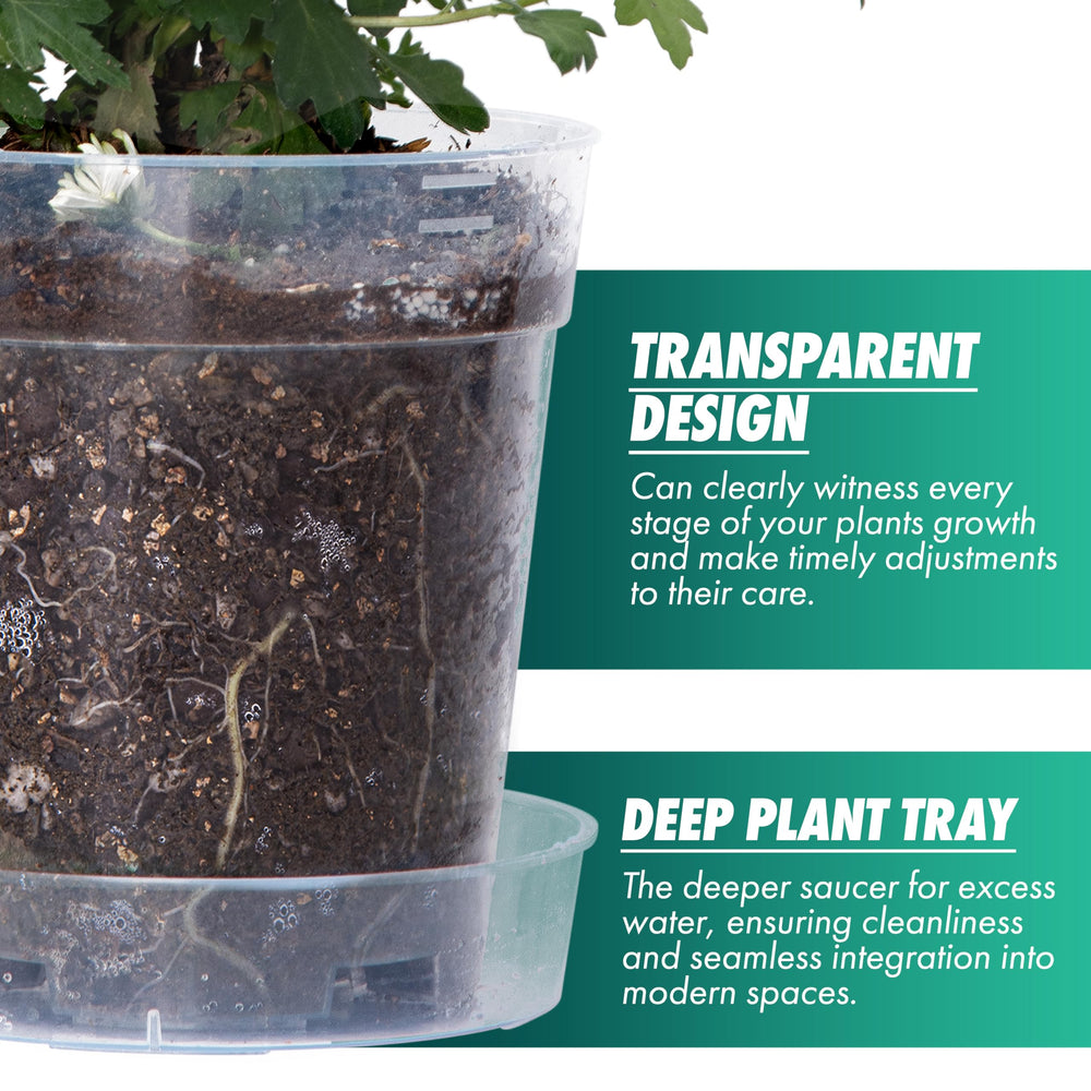 Phoenix Vine raised base detail improving airflow and healthier roots