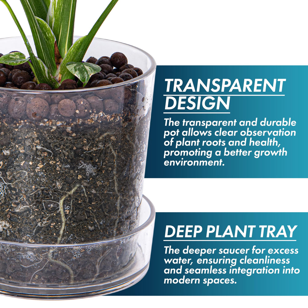 Phoenix Vine pot with visible roots demonstrating easy root monitoring and repotting timing