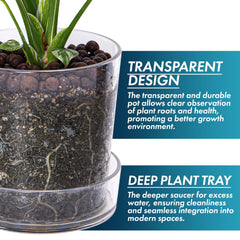 Phoenix Vine pot with visible roots demonstrating easy root monitoring and repotting timing