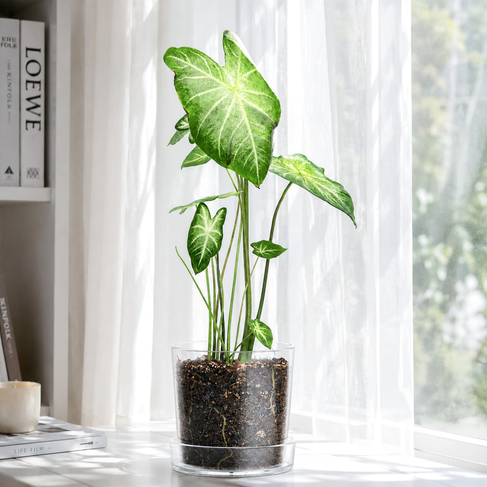 Phoenix Vine texture and edge finish highlights sturdy, smooth acrylic construction