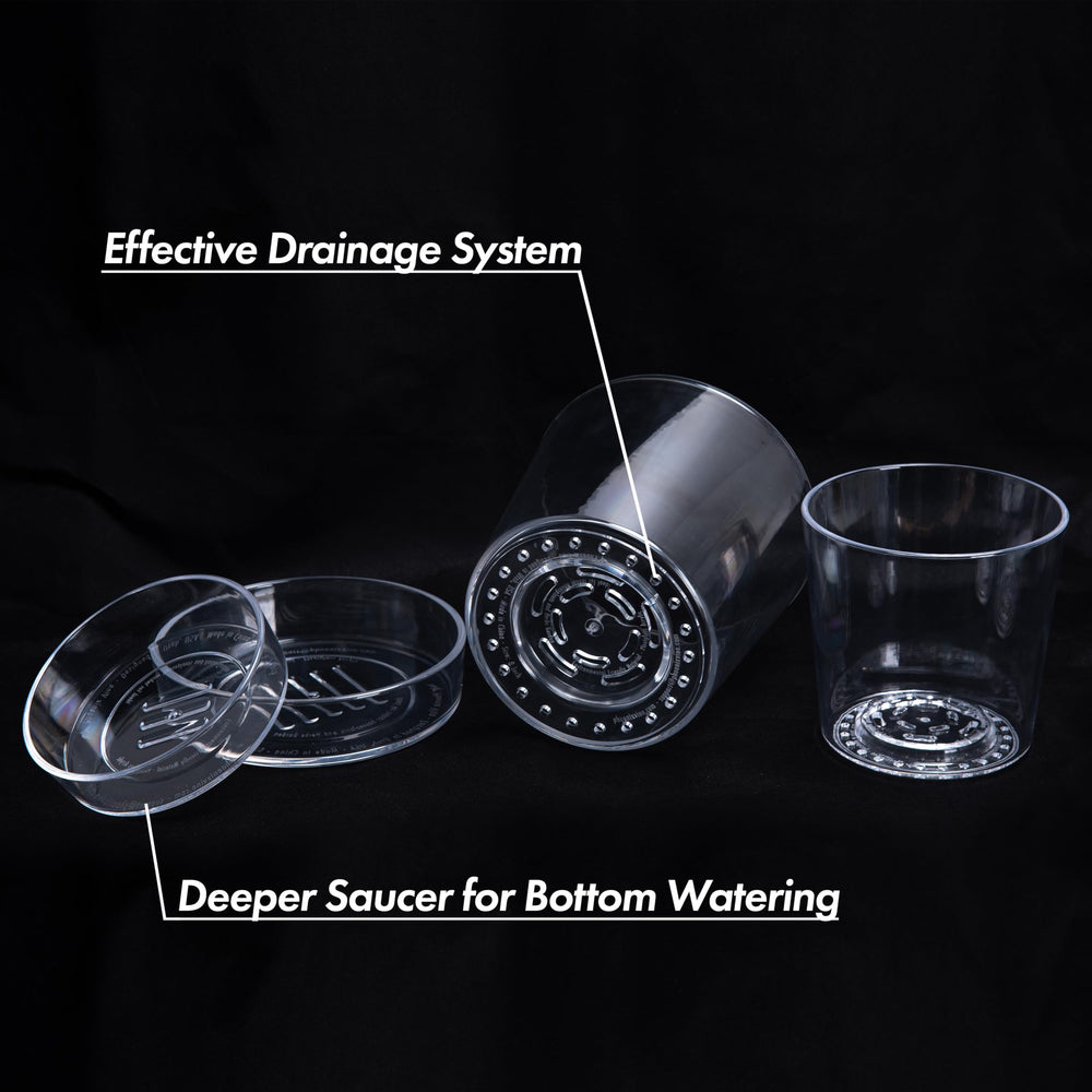 Phoenix Vine deep saucer holding water for bottom watering, supports controlled watering