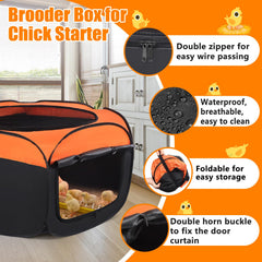 Phoncoo brooder set up outdoors with heat lamp showing secure warmth option