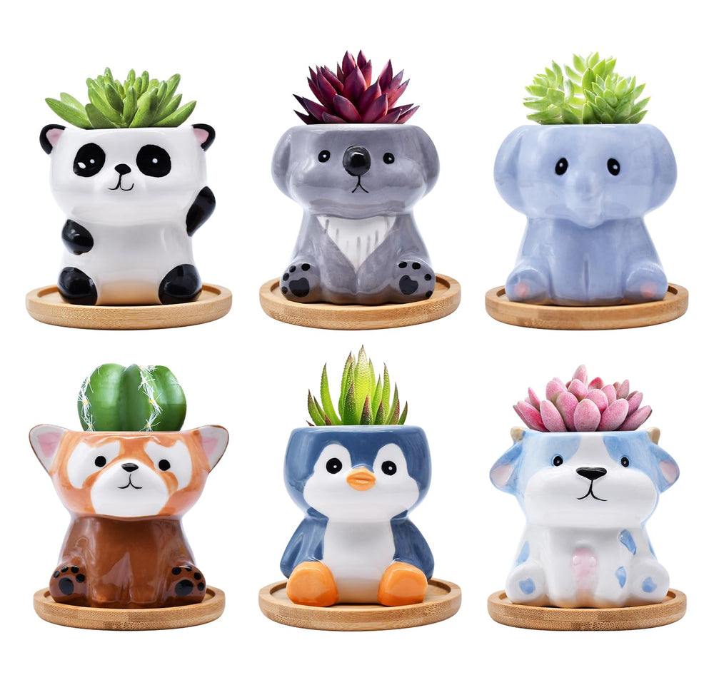 Photken front packaging showing six animal mini planters and gift-ready look