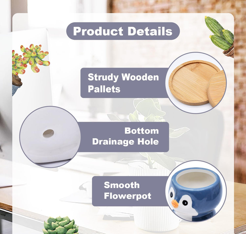Photken panda planter showing drainage hole and bamboo tray that protects surfaces