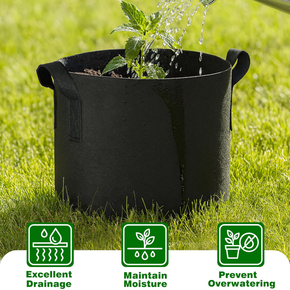PHYEX reusable plant labels included for simple identification