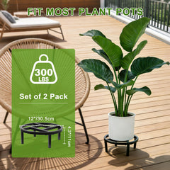Phyluckny stand with potted plant in living room illustrating elevated display benefit