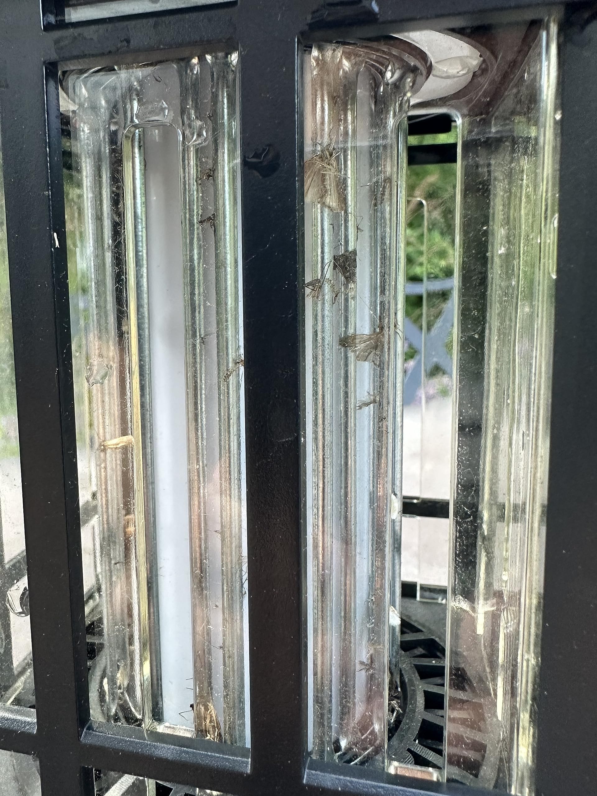 PIC lantern next to drink showing scale and practical placement