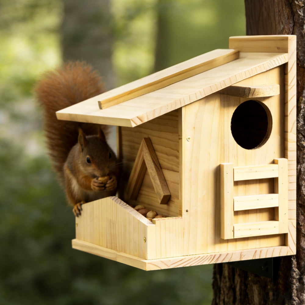 Pickei mounted on tree lifestyle shot offering backyard wildlife viewing