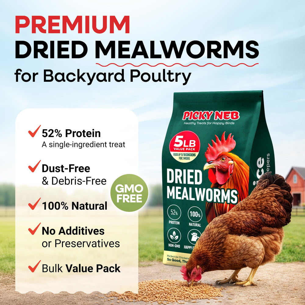PICKY NEB close-up of dried mealworms texture and dust-free finish