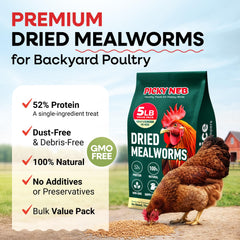 PICKY NEB close-up of dried mealworms texture and dust-free finish