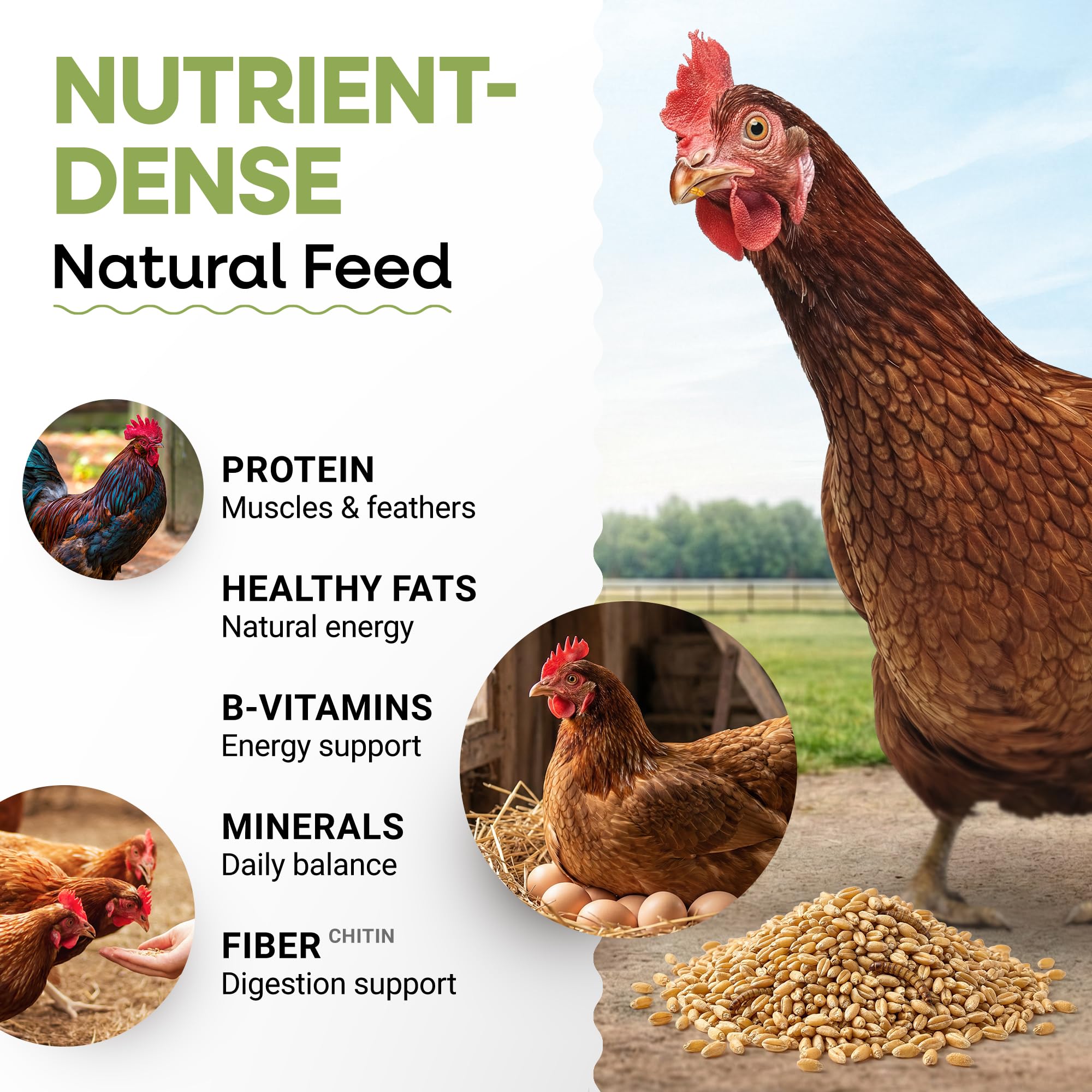 PICKY NEB nutrition label close-up highlighting 52 percent protein