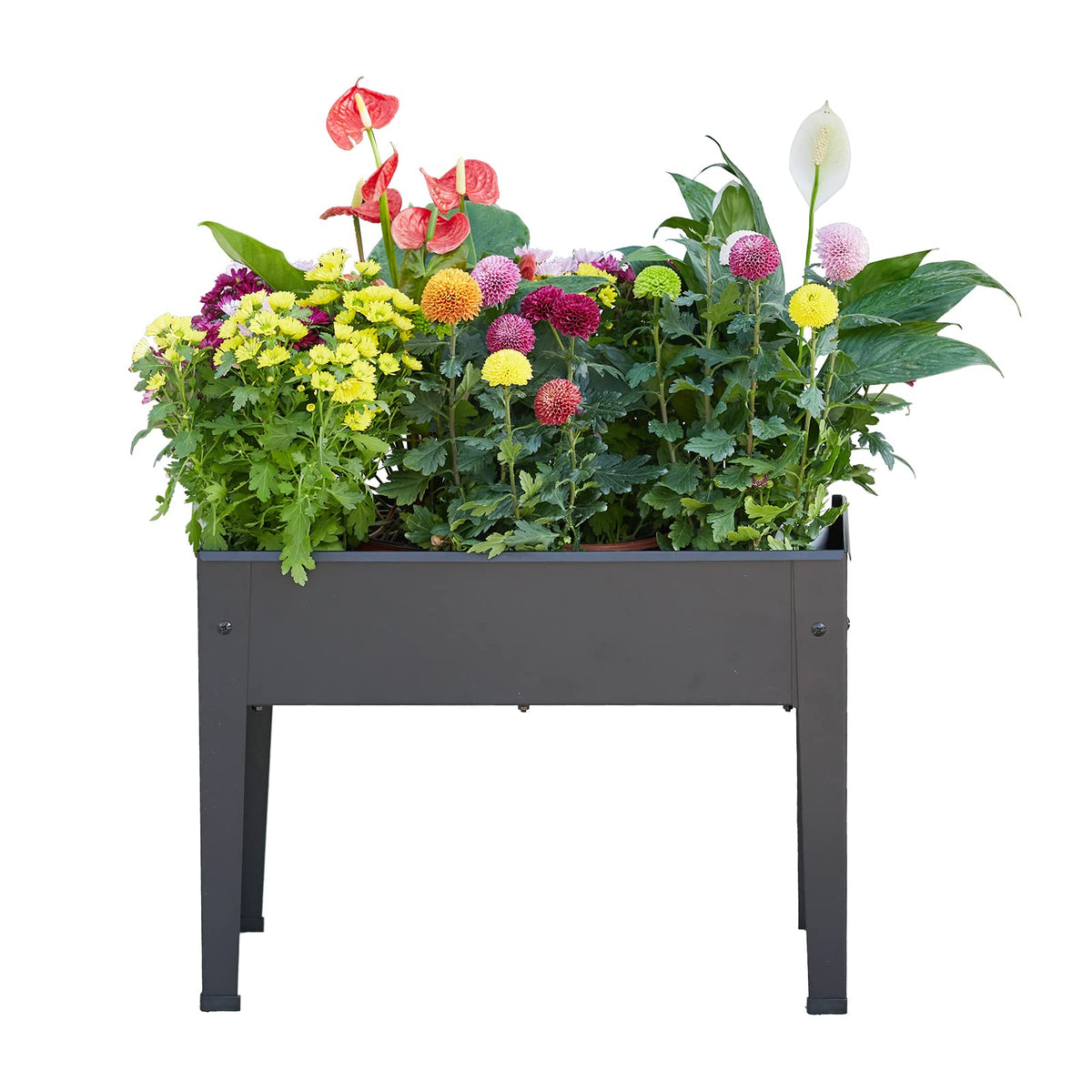 Piksedo front view elevated planter showing compact urban gardening benefit