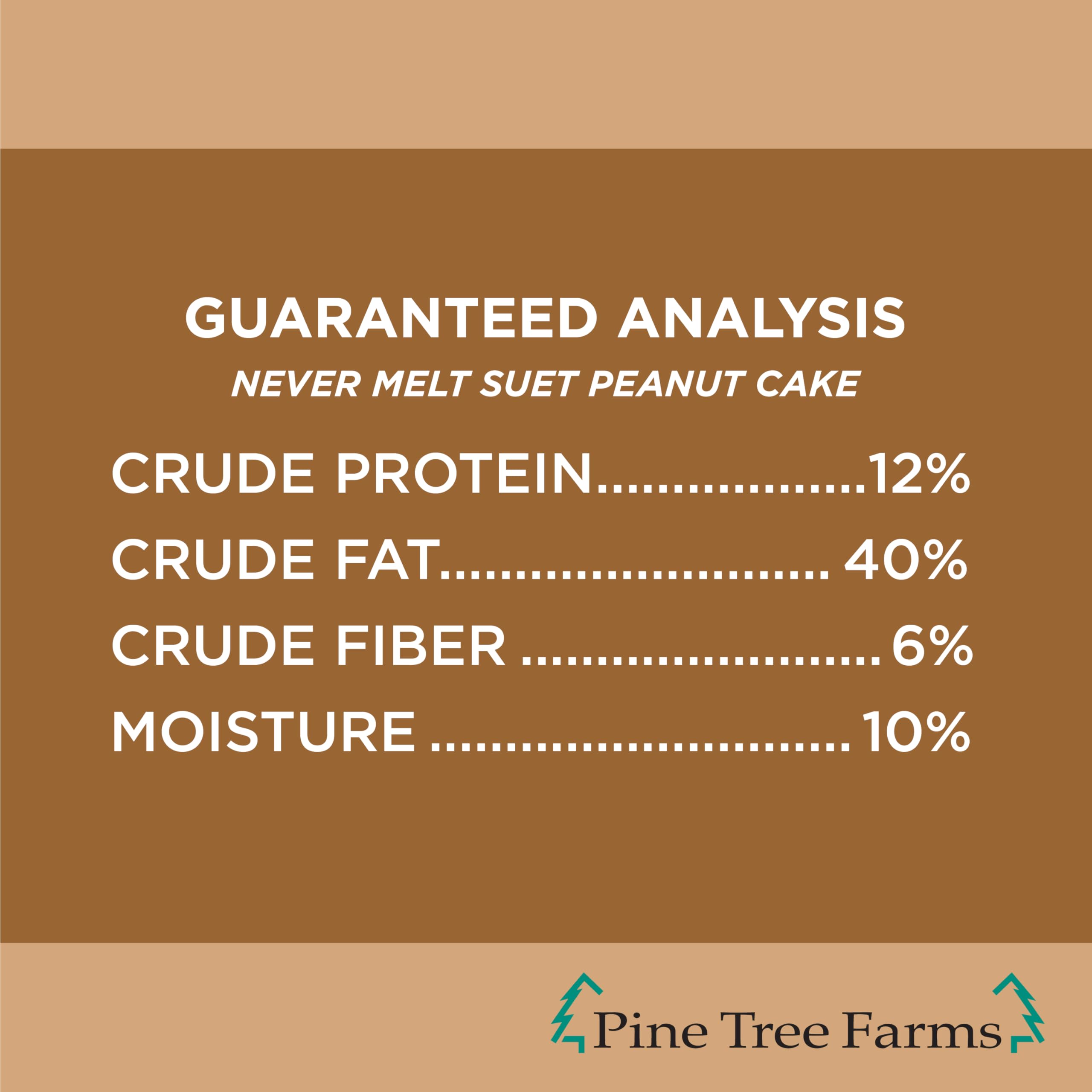 Pine Tree Farms lifestyle scene of backyard feeder with birds enjoying suet