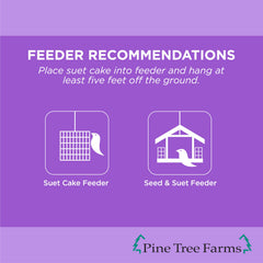 Pine Tree Farms suet cake with woodpecker feeding showing attraction benefit