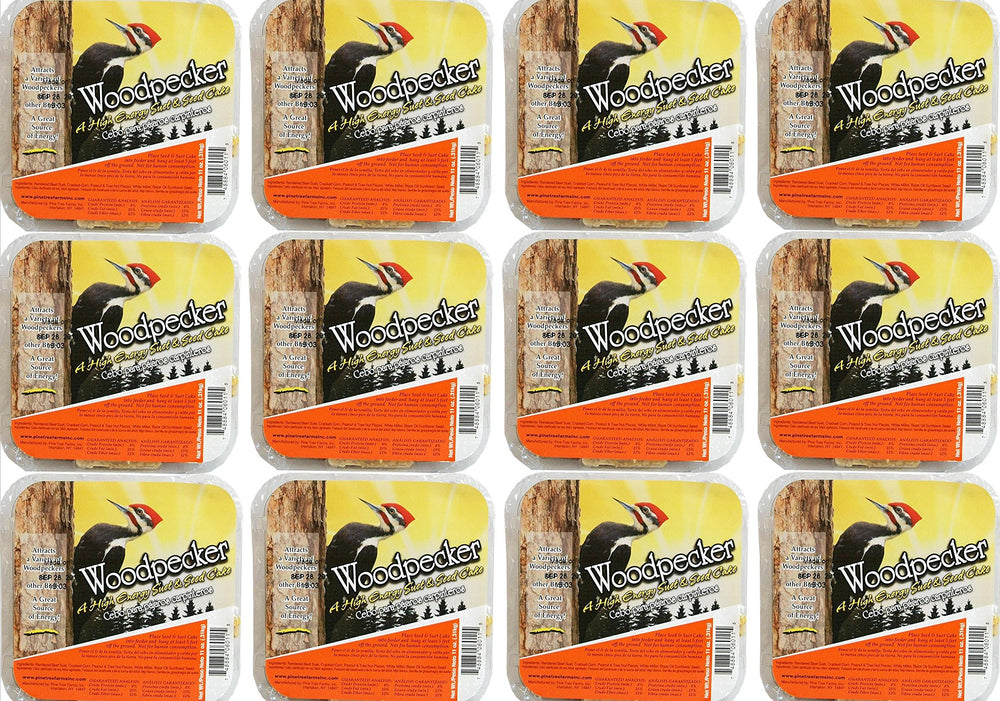 Pine Tree Farms close-up of suet cake texture highlighting seeds and nuts that attract birds