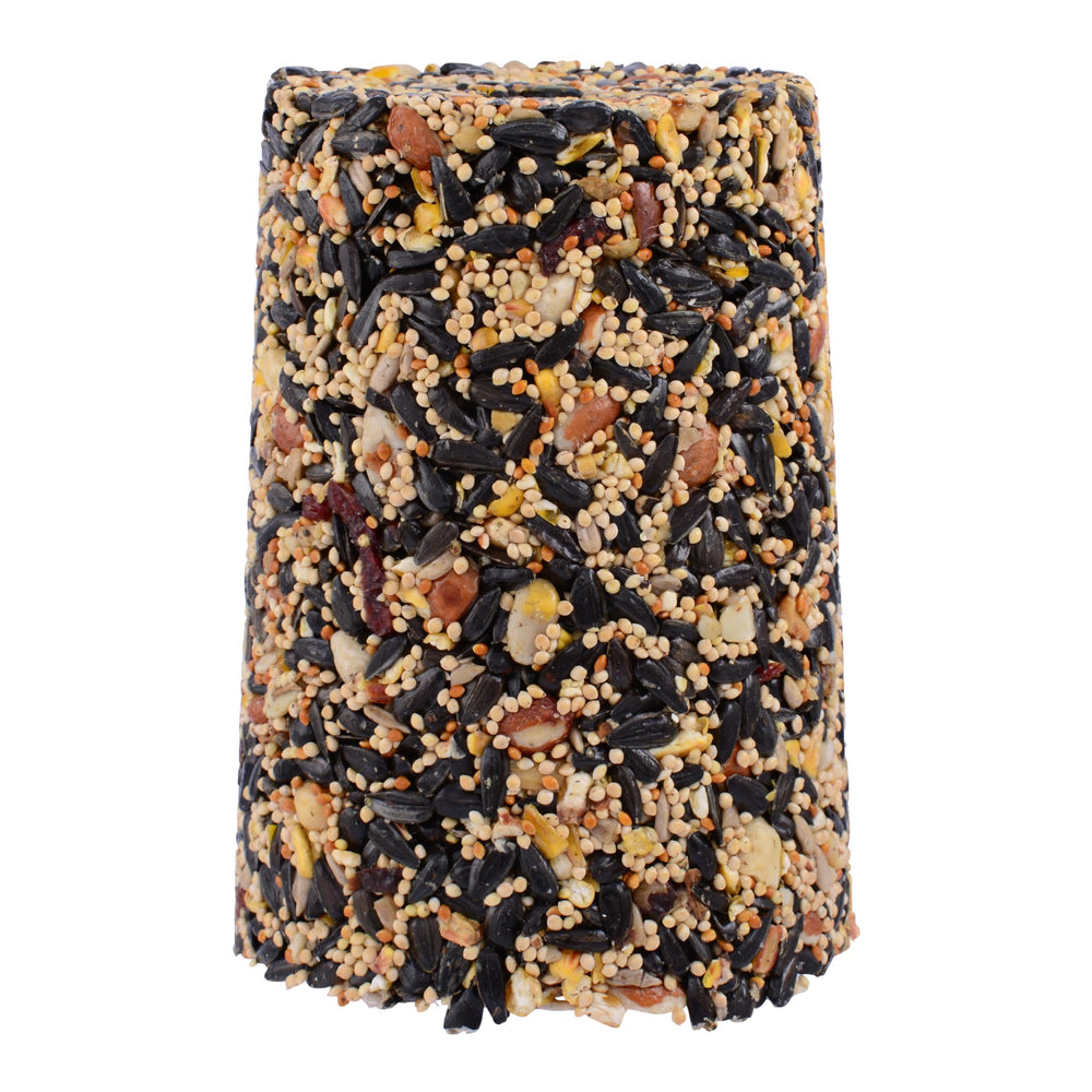Pine Tree Farms seed log with backyard birds feeding for easy birdwatching