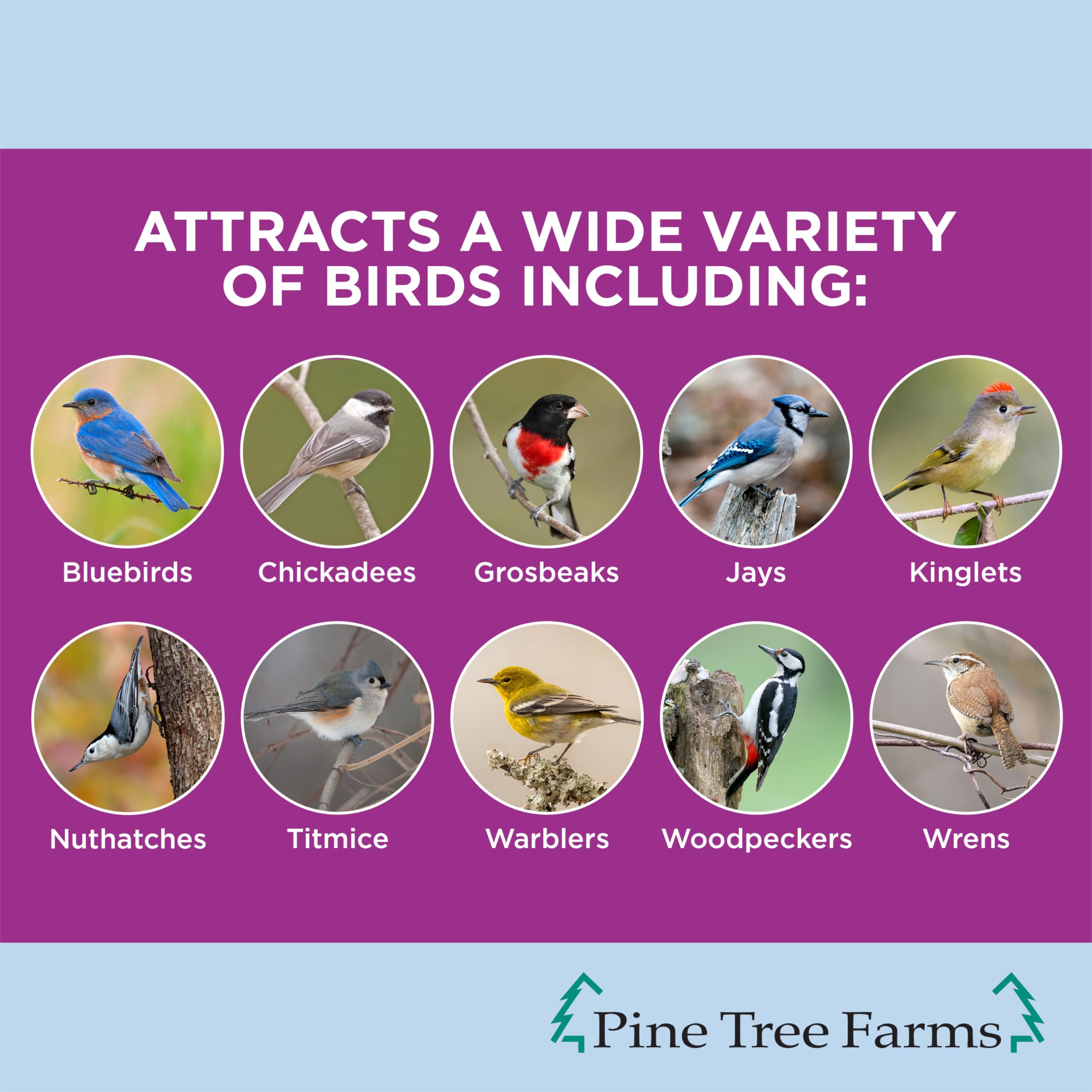 Pine Tree Farms log hanging on classic feeder attracting perching birds