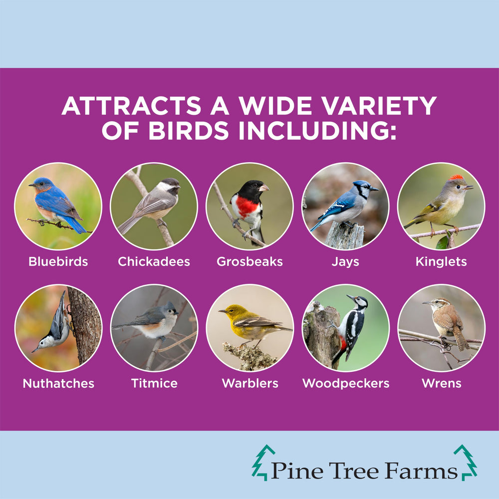Pine Tree Farms log hanging on classic feeder attracting perching birds