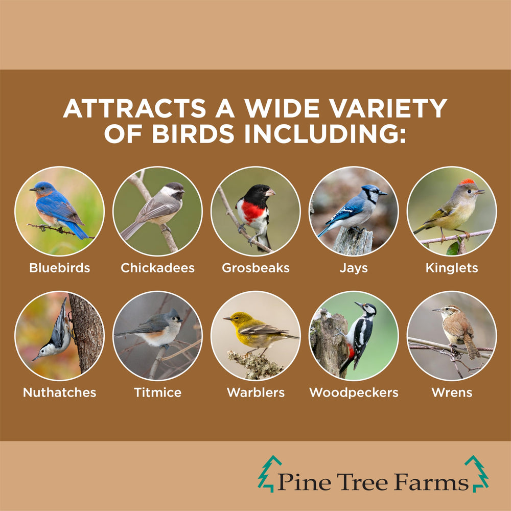 Pine Tree Farms close-up of peanut and grain texture, attracting more birds