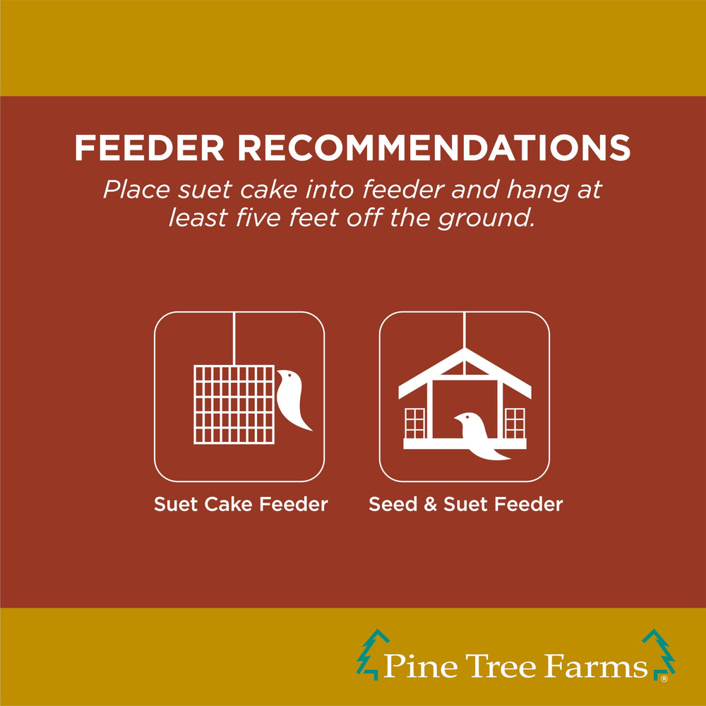 Pine Tree Farms suet cake with woodpecker feeding, attracting energetic wild birds