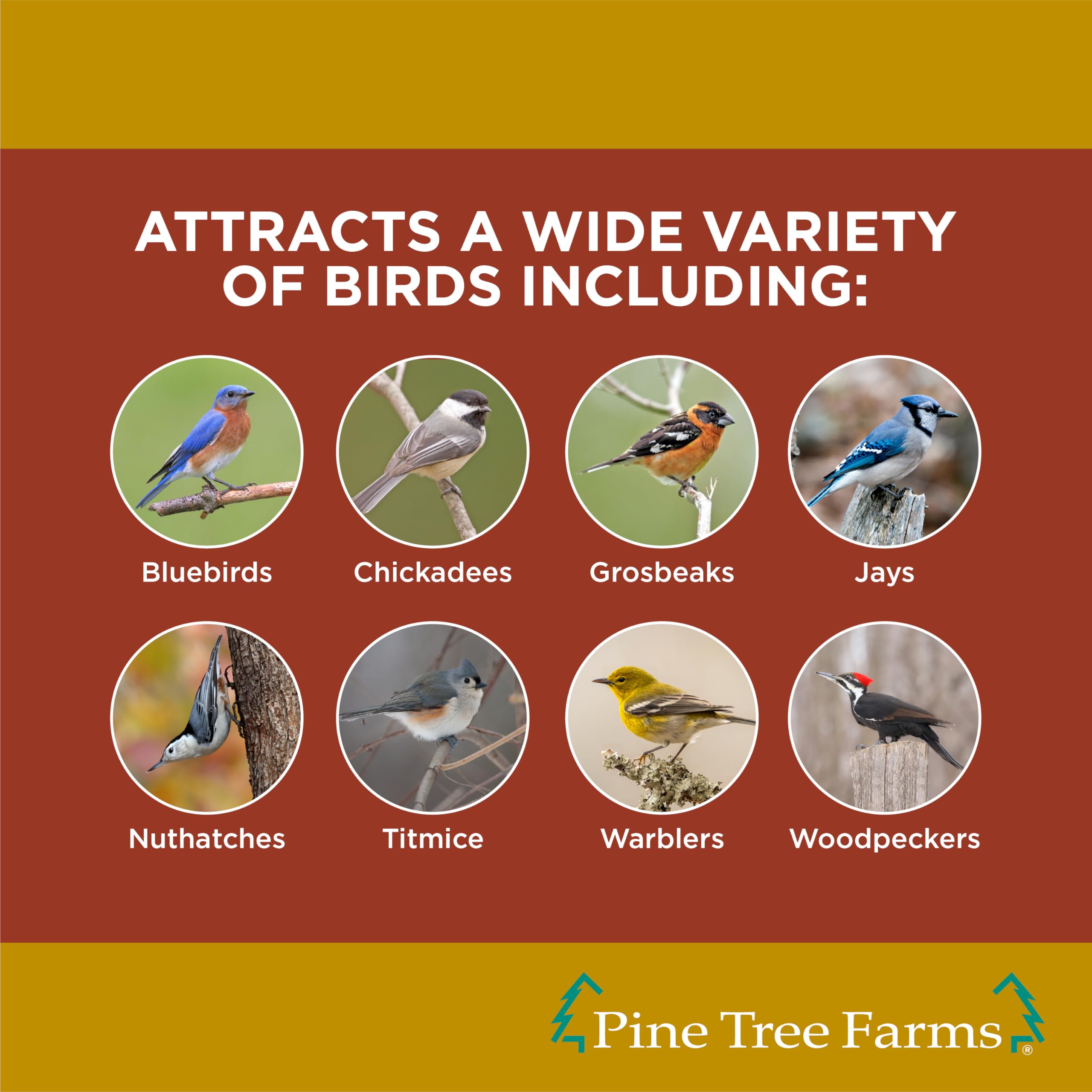 Pine Tree Farms suet cake placed in a standard suet cage feeder, easy installation benefit