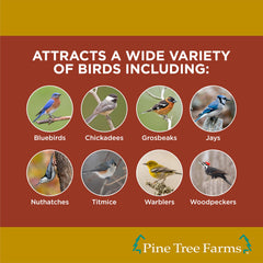 Pine Tree Farms suet cake placed in a standard suet cage feeder, easy installation benefit