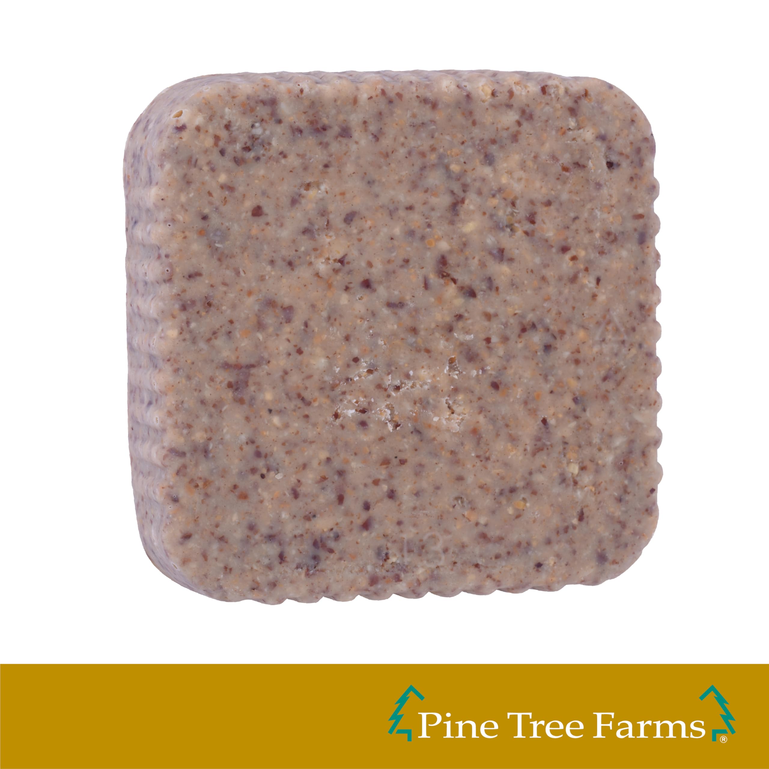 Pine Tree Farms suet cake hanging in backyard feeder, draws diverse bird visitors