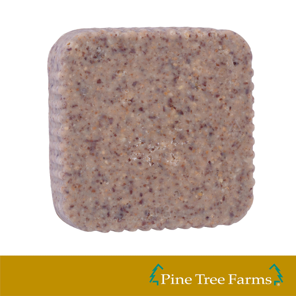 Pine Tree Farms suet cake hanging in backyard feeder, draws diverse bird visitors