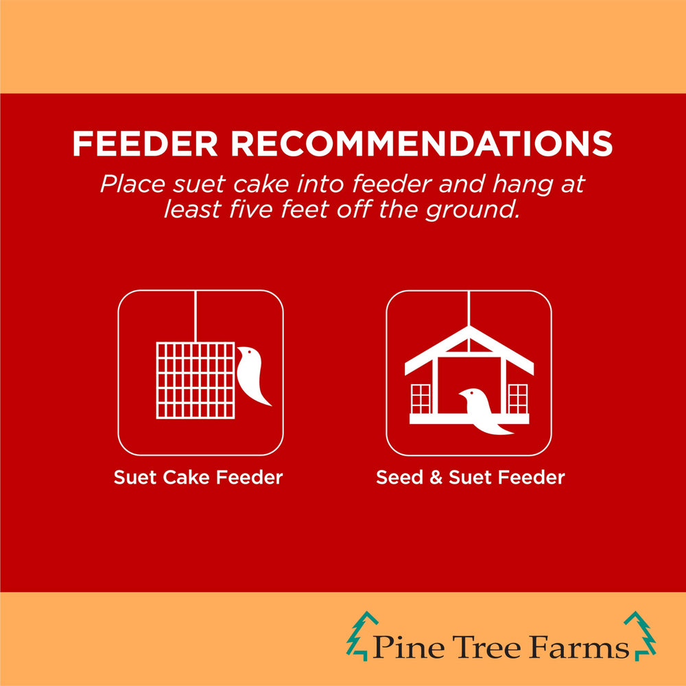 Pine Tree Farms suet cake seated in tray feeder illustrating stable fit