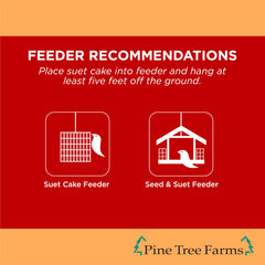 Pine Tree Farms suet cake seated in tray feeder illustrating stable fit