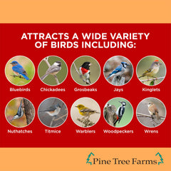 Pine Tree Farms close-up texture with seeds and peanuts for bird attraction