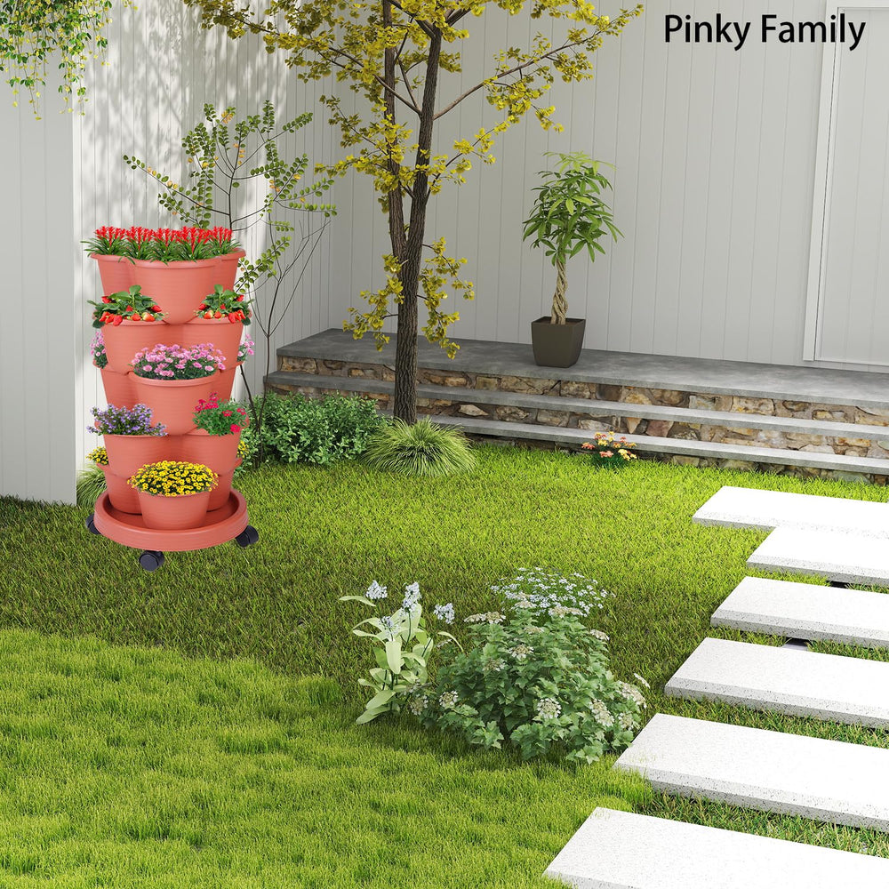 Pinky Family tower filled with strawberries highlighting abundant small-fruit harvest