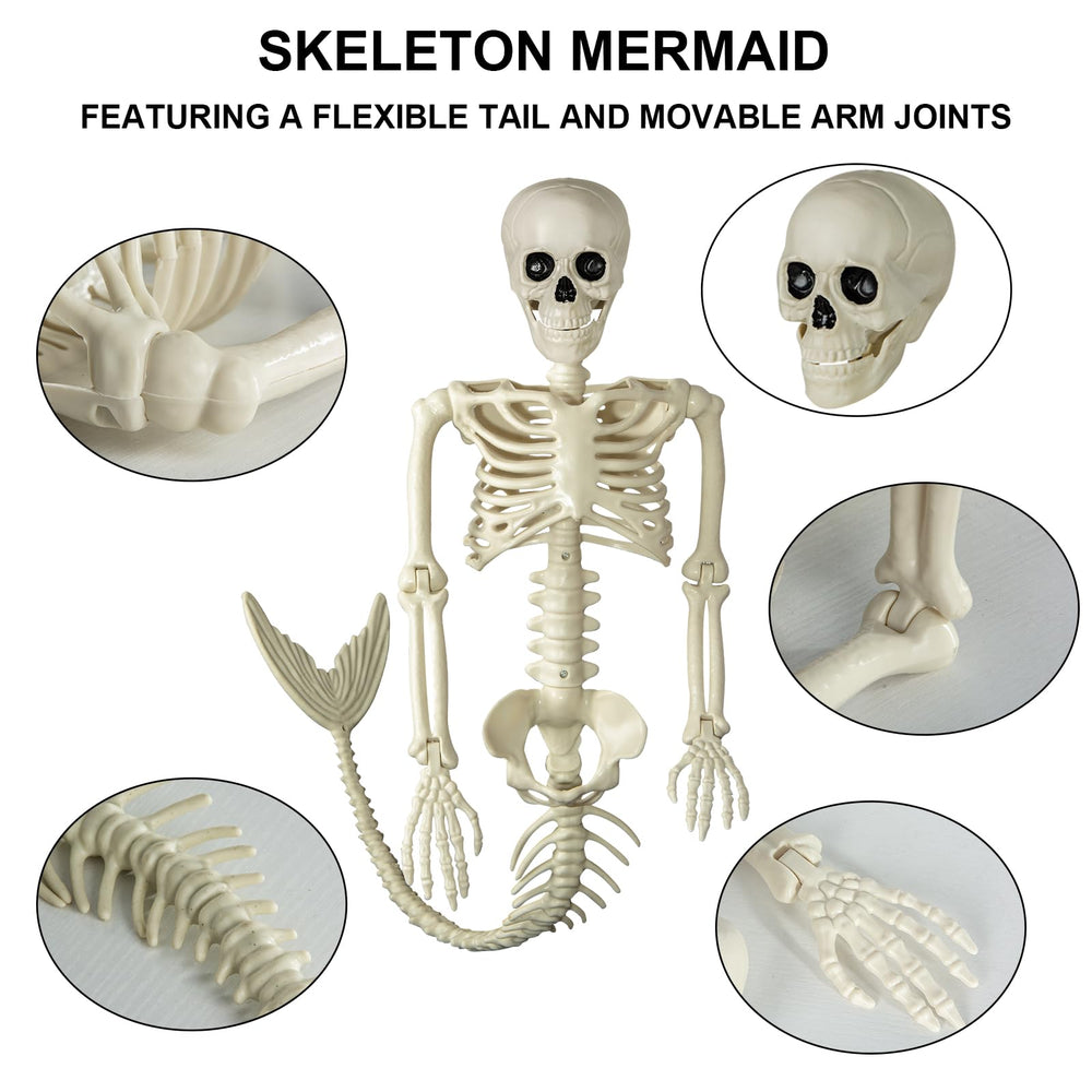 Pipilily two mermaid skeletons sitting together for paired display ideas