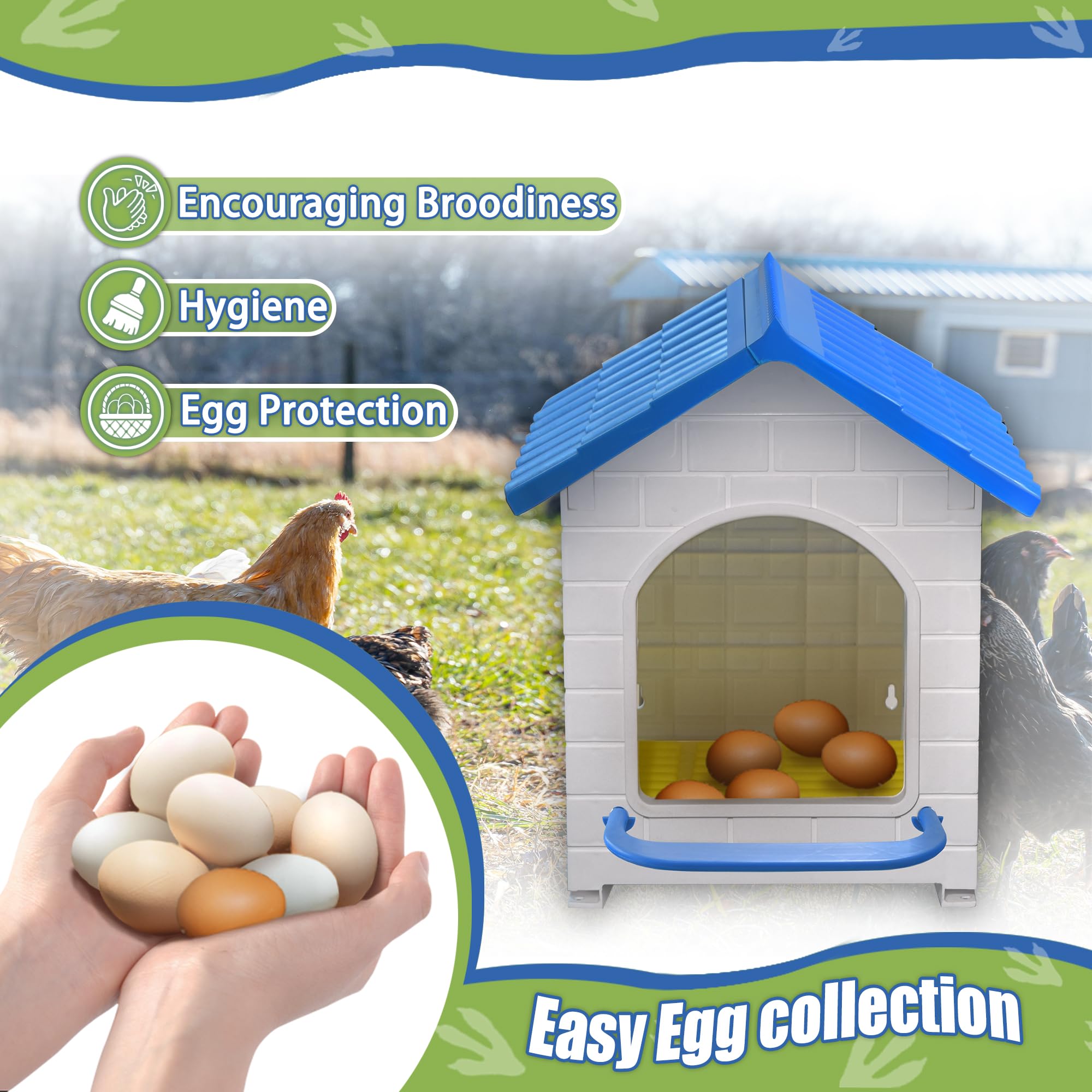 Pitalok nesting box placed on coop floor showing stable ground use