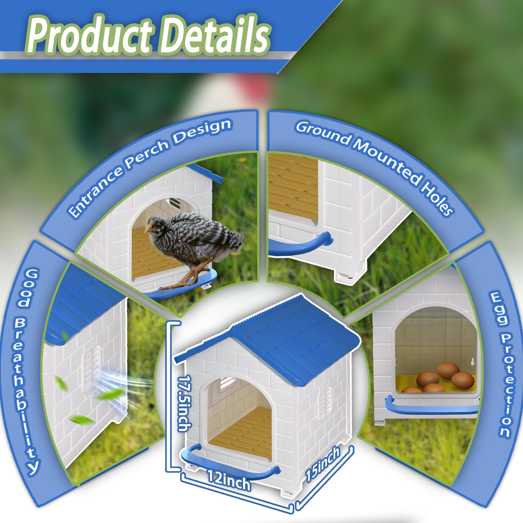 Pitalok interior view with egg highlighting protective egg placement benefit