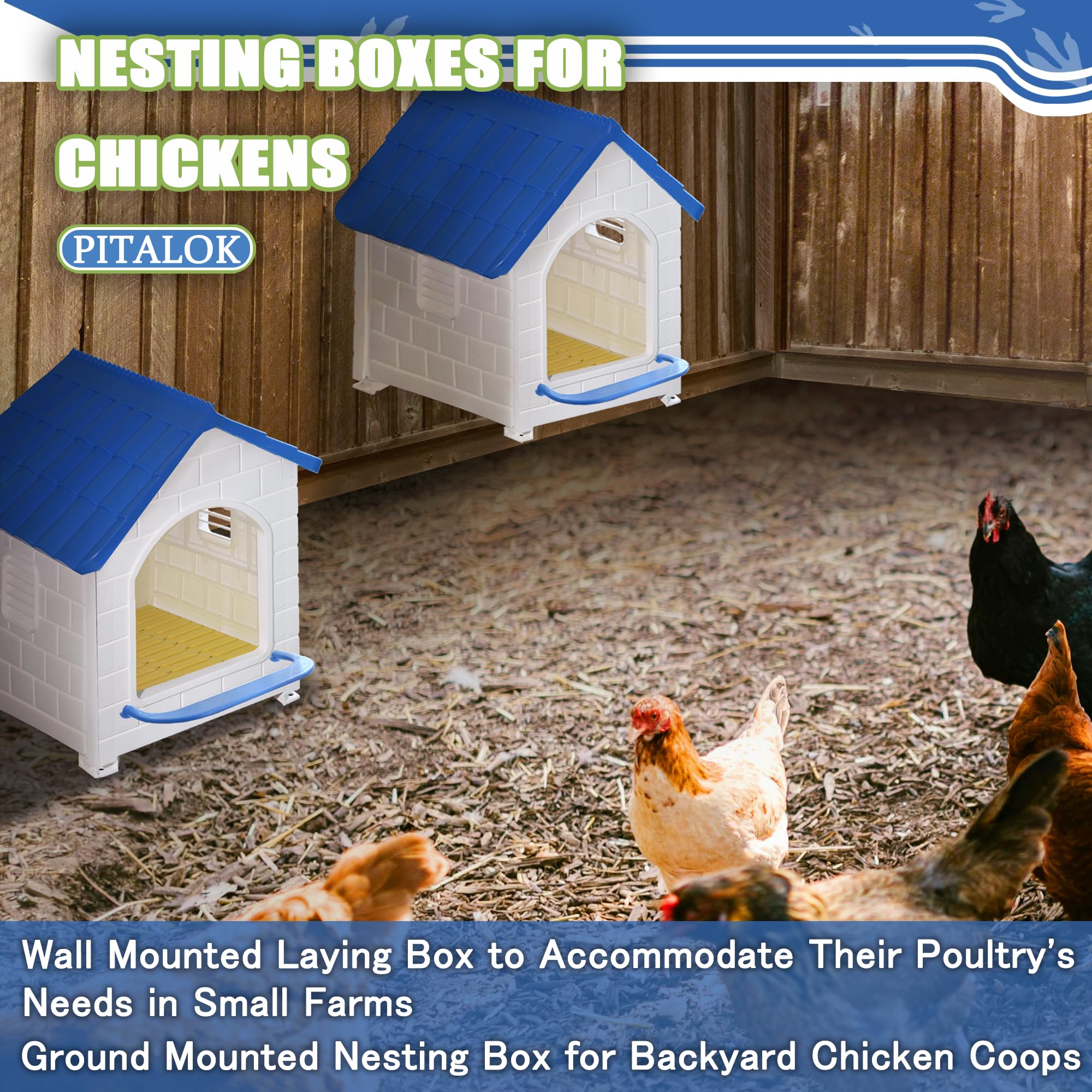 Pitalok nesting box in backyard coop lifestyle scene illustrating practical use