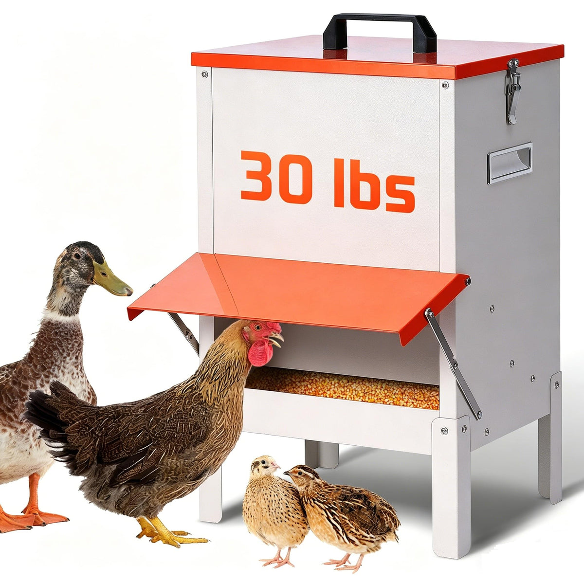 PKNYBZH front view showing sturdy metal feeder and large capacity benefit