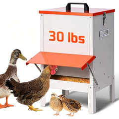 PKNYBZH front view showing sturdy metal feeder and large capacity benefit