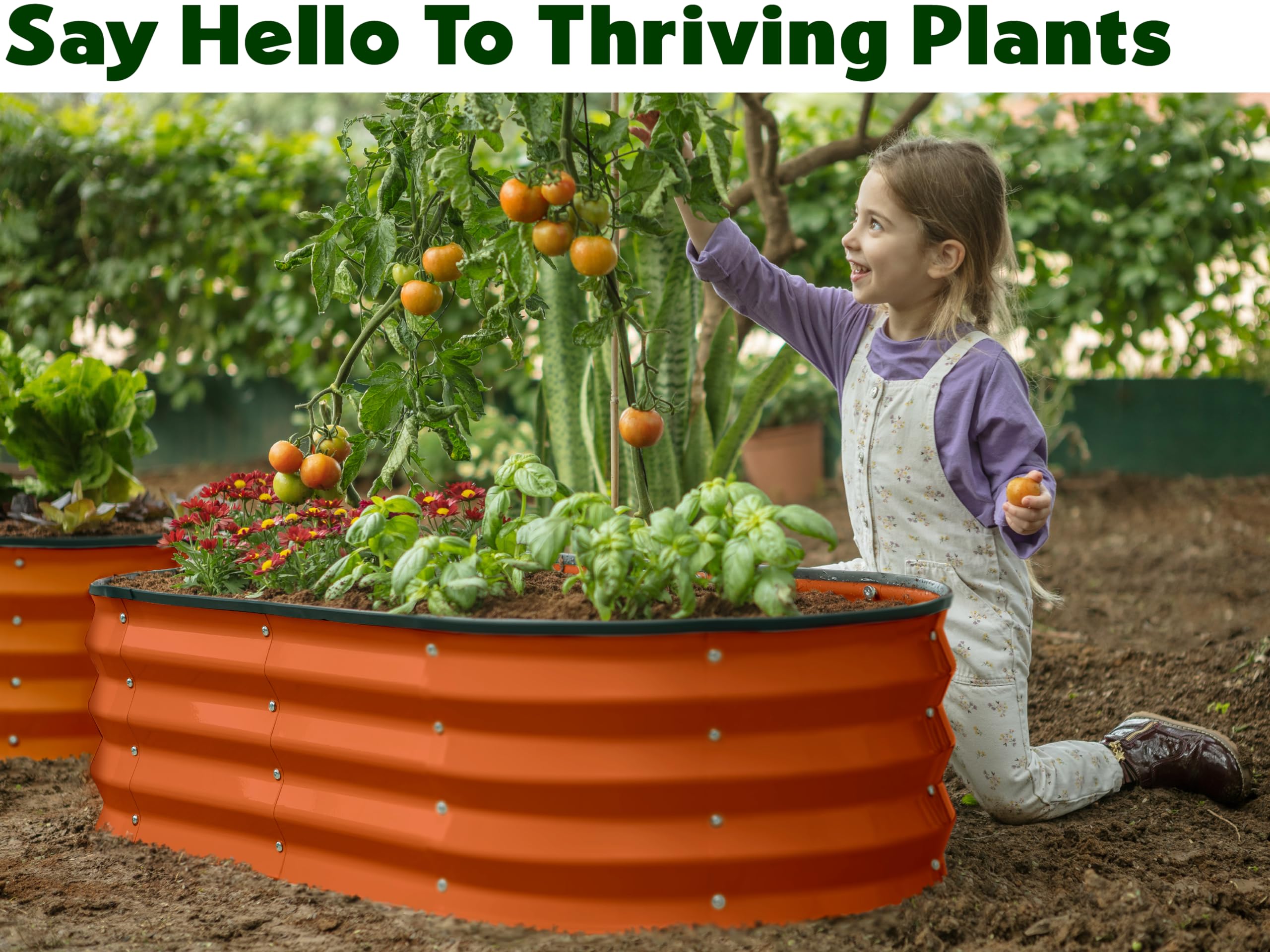 Plant & Plot assembled bed filled with vegetables demonstrating productive planting benefit