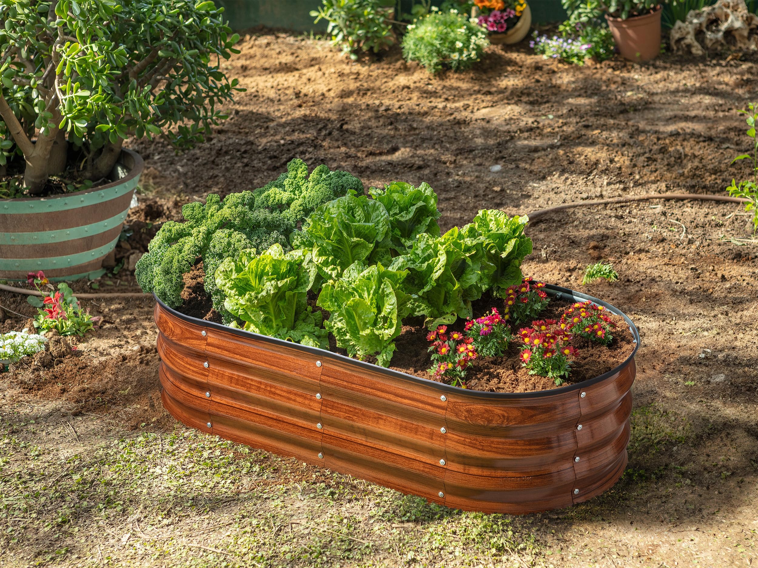 Plant & Plot bed filled with vegetables demonstrating productive growing space