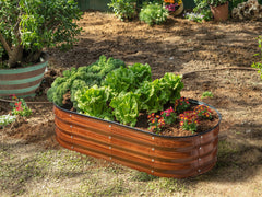 Plant & Plot bed filled with vegetables demonstrating productive growing space