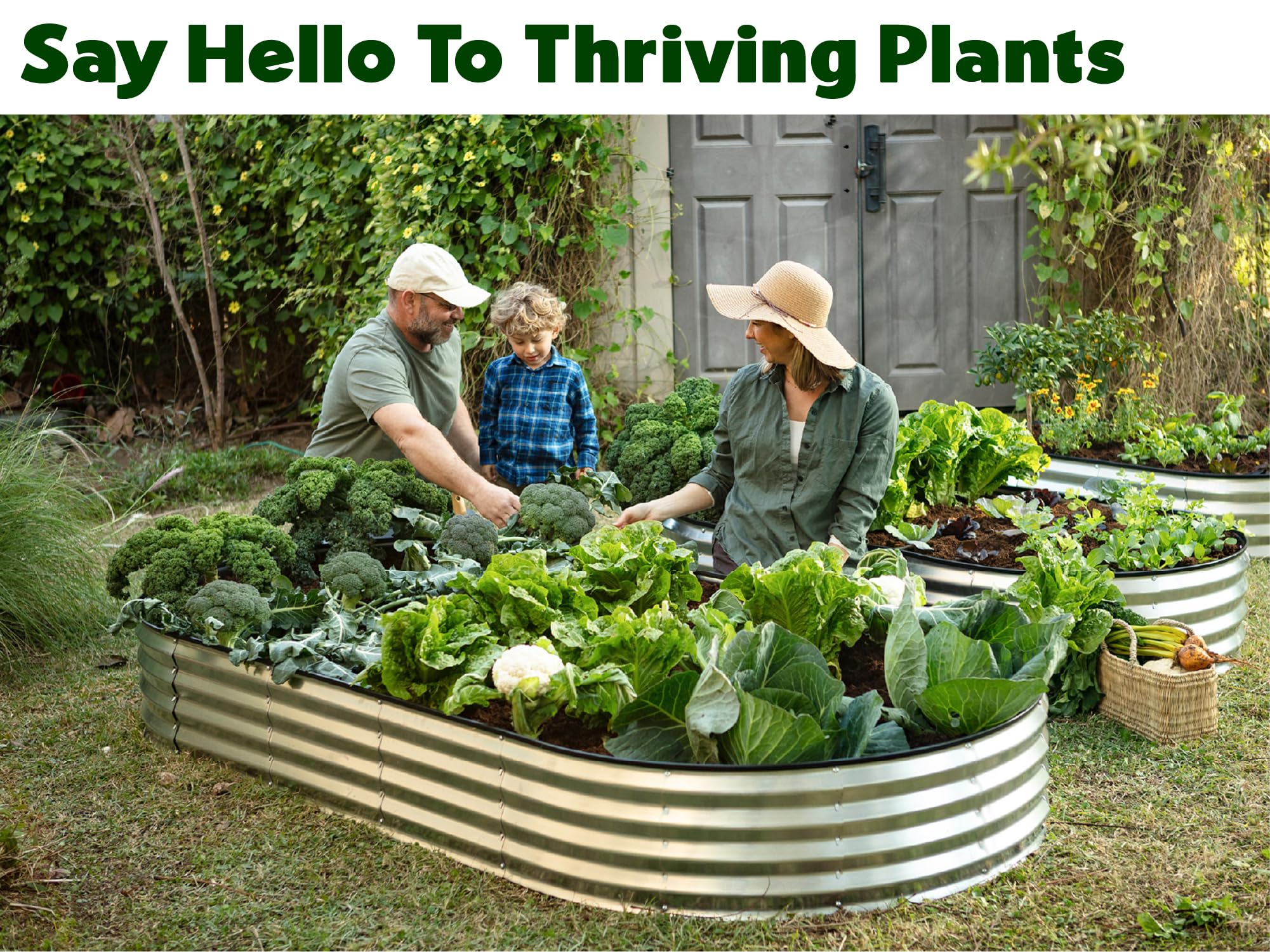 Plant & Plot bed planted with vegetables illustrating productive growing space