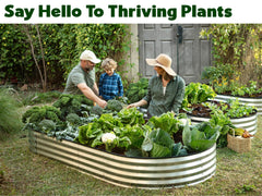 Plant & Plot bed planted with vegetables illustrating productive growing space