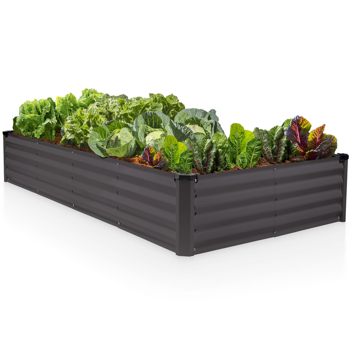 Plant & Plot front view of assembled 6x3x1 ft galvanized raised bed shows clean modern planter and easy planting