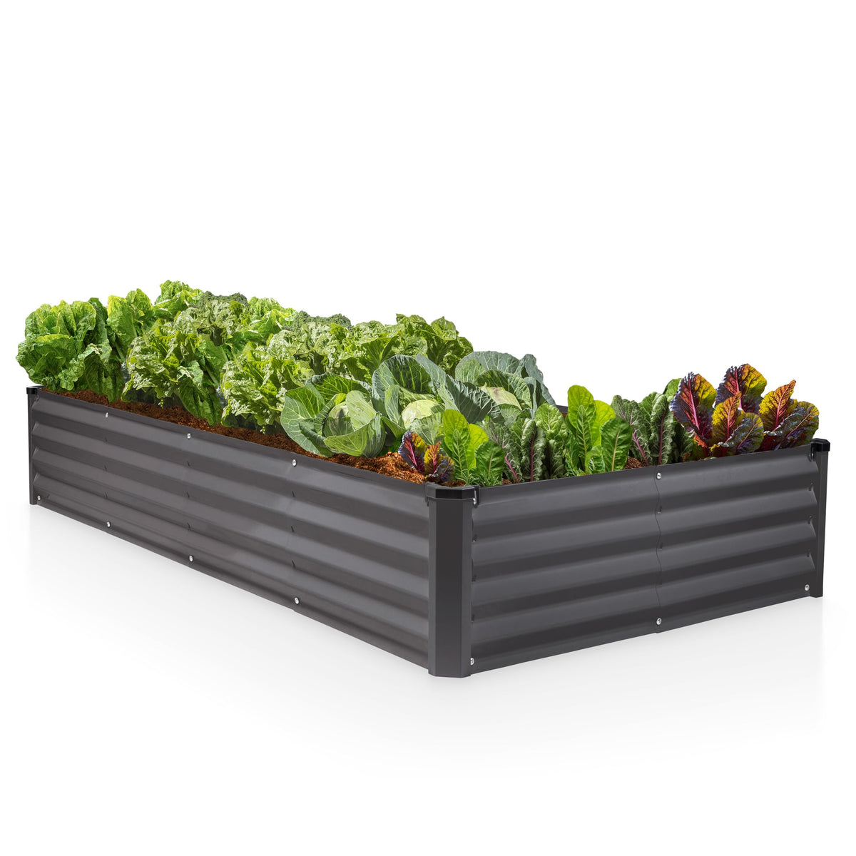 Plant & Plot front view of 8x4x1 ft galvanized raised bed showing sturdy structure and easy planting