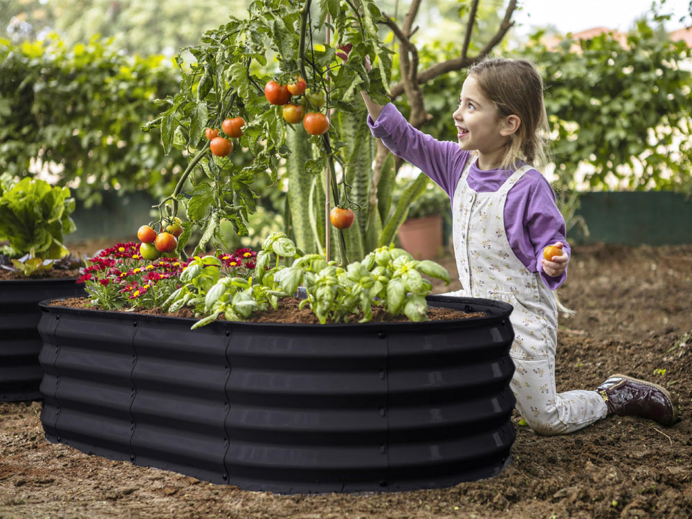 Plant & Plot beside common garden tools showing scale and compact 4x2x1 ft footprint