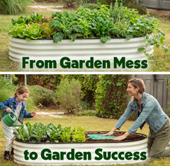 Plant & Plot detail of holes and seeds illustrating precise placement