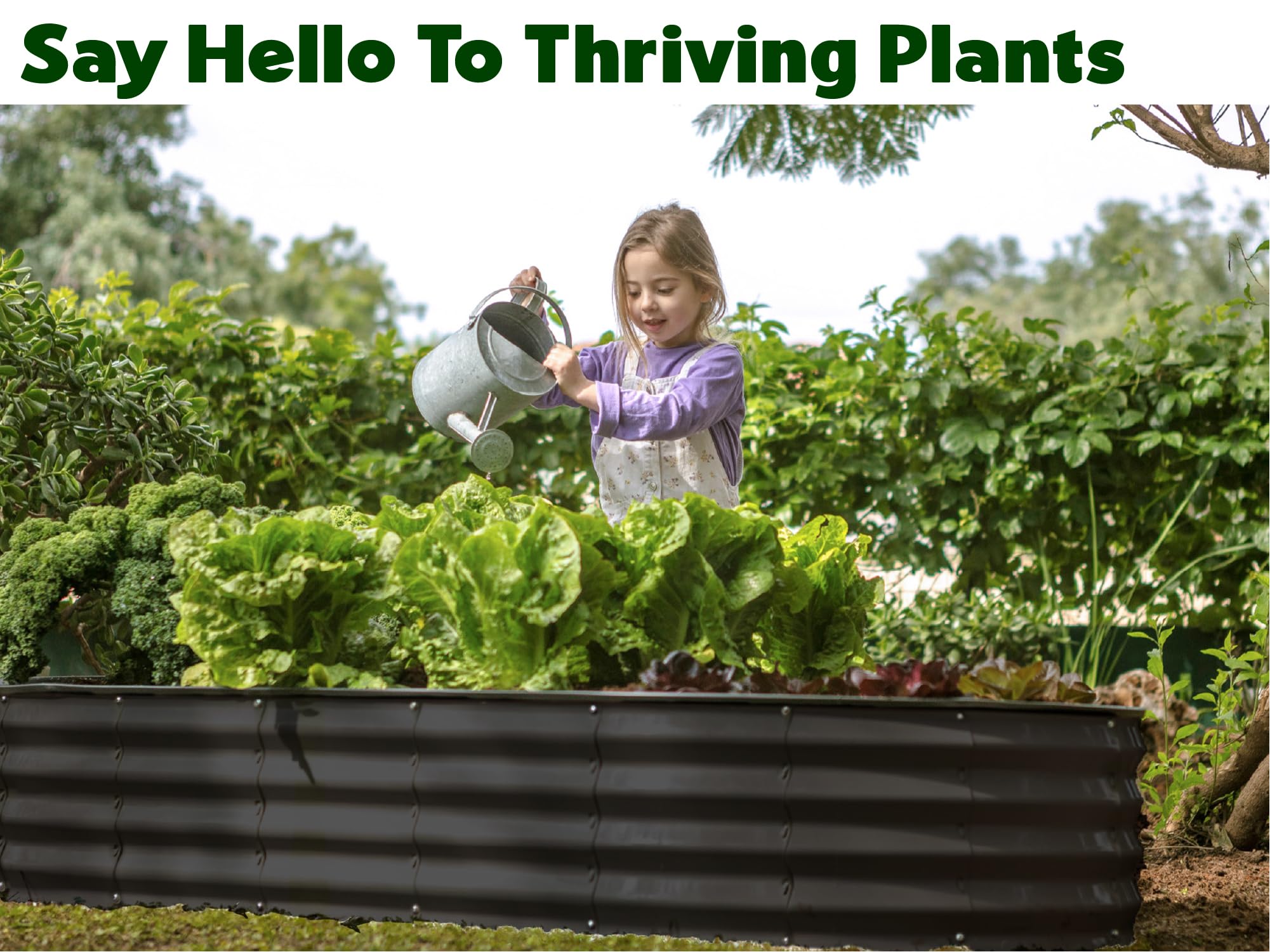 Plant & Plot bed in use with vegetables showing practical planting layout