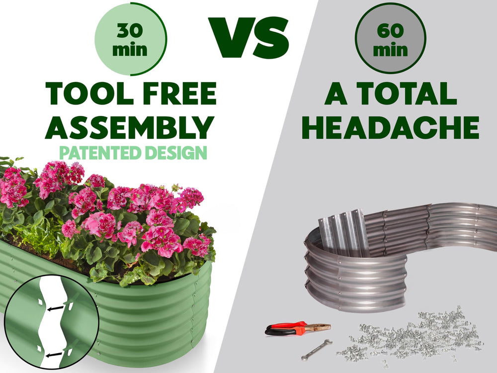 Plant & Plot label and warranty badge showing three-year protection and brand trust